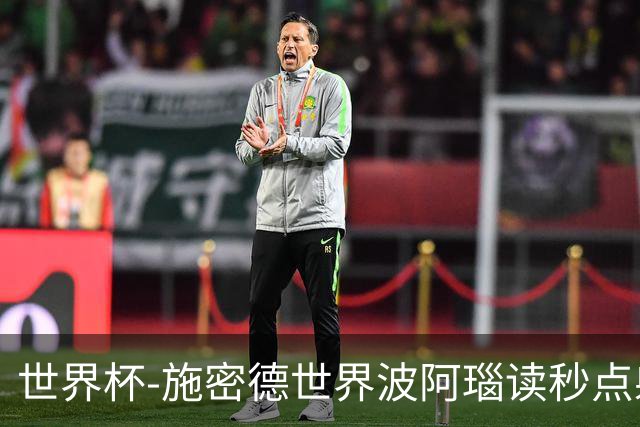世界杯-施密德世界波阿瑙读秒点射破门 奥地利3-1约旦